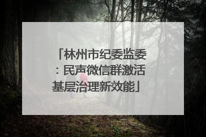 林州市纪委监委：民声微信群激活基层治理新效能