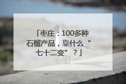 枣庄：100多种石榴产品，靠什么“七十二变”？