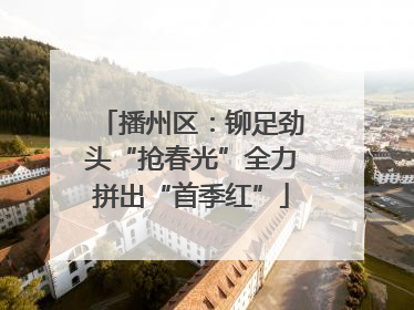 播州区：铆足劲头“抢春光”全力拼出“首季红”