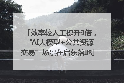 效率较人工提升9倍，“AI大模型+公共资源交易”场景在启东落地