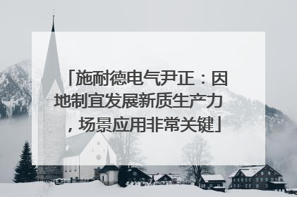 施耐德电气尹正：因地制宜发展新质生产力，场景应用非常关键