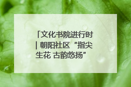 文化书院进行时｜朝阳社区“指尖生花 古韵悠扬”公益课堂开课了