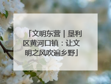 文明东营｜垦利区黄河口镇：让文明之风吹遍乡野