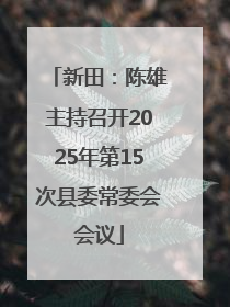 新田：陈雄主持召开2025年第15次县委常委会会议