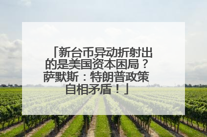 新台币异动折射出的是美国资本困局？萨默斯：特朗普政策自相矛盾！