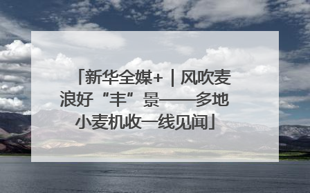 新华全媒+｜风吹麦浪好“丰”景——多地小麦机收一线见闻
