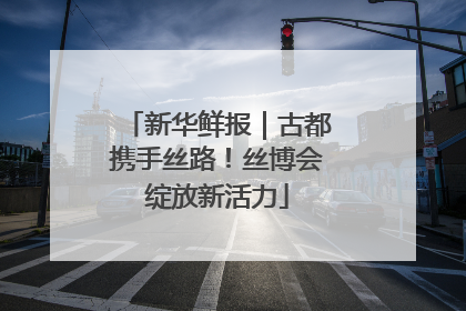 新华鲜报｜古都携手丝路！丝博会绽放新活力