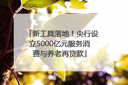新工具落地！央行设立5000亿元服务消费与养老再贷款