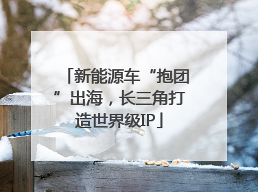 新能源车“抱团”出海，长三角打造世界级IP
