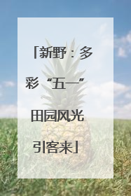 新野：多彩“五一” 田园风光引客来