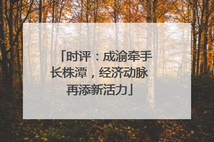 时评：成渝牵手长株潭，经济动脉再添新活力