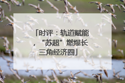 时评：轨道赋能，“苏超”燃爆长三角经济圈