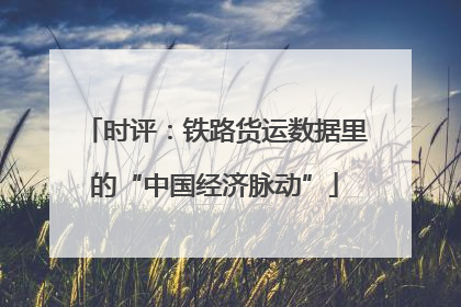 时评：铁路货运数据里的“中国经济脉动”