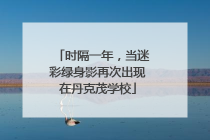 时隔一年，当迷彩绿身影再次出现在丹克茂学校