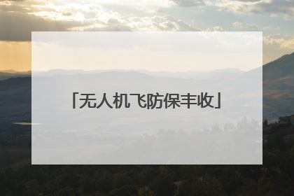 无人机飞防保丰收