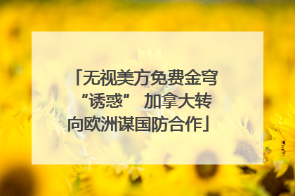 无视美方免费金穹“诱惑” 加拿大转向欧洲谋国防合作