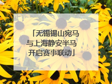 无锡锡山宛马与上海静安半马开启赛事联动