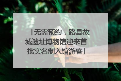 无需预约，路县故城遗址博物馆迎来首批实名制入馆游客