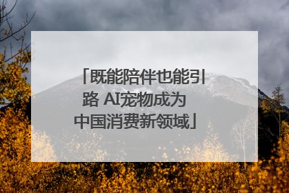 既能陪伴也能引路 AI宠物成为中国消费新领域