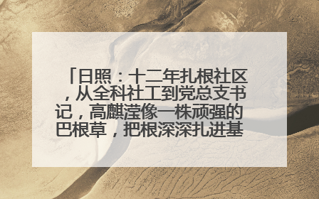 日照：十二年扎根社区，从全科社工到党总支书记，高麒滢像一株顽强的巴根草，把根深深扎进基层的土壤——“巴根草书记”的夏日叙事