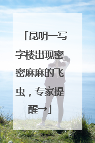 昆明一写字楼出现密密麻麻的飞虫，专家提醒→