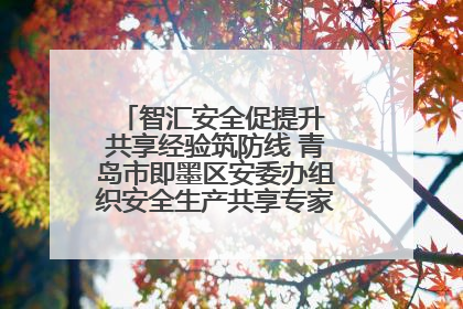 智汇安全促提升 共享经验筑防线 青岛市即墨区安委办组织安全生产共享专家现场观摩学习活动
