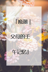 晚潮｜父母的壬午记忆