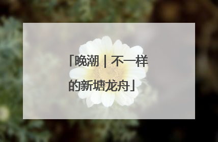 晚潮｜不一样的新塘龙舟