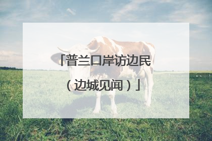 普兰口岸访边民（边城见闻）