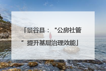 景谷县：“公房社管”提升基层治理效能