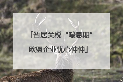 暂居关税“喘息期” 欧盟企业忧心忡忡
