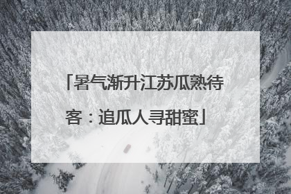暑气渐升江苏瓜熟待客：追瓜人寻甜蜜