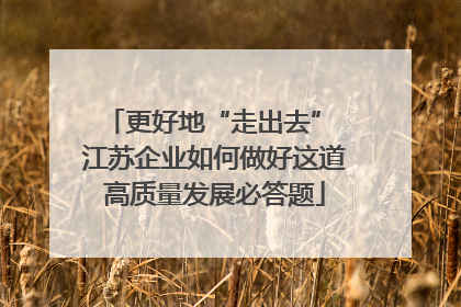 更好地“走出去” 江苏企业如何做好这道高质量发展必答题