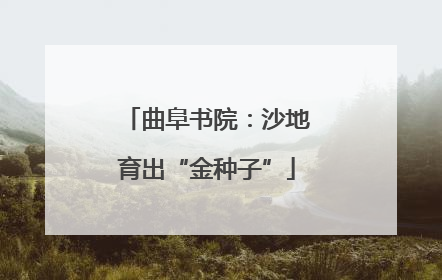 曲阜书院：沙地育出“金种子”