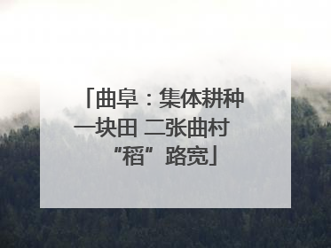 曲阜：集体耕种一块田 二张曲村“稻”路宽
