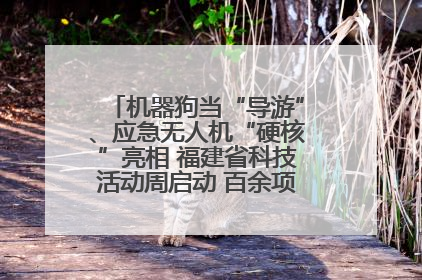 机器狗当“导游”、应急无人机“硬核”亮相 福建省科技活动周启动 百余项特色活动酷炫来袭