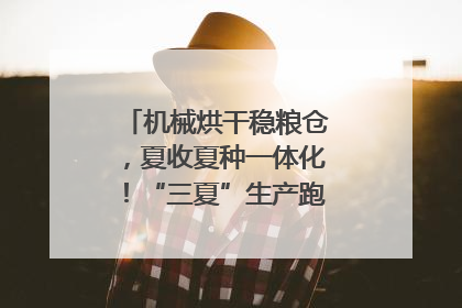 机械烘干稳粮仓，夏收夏种一体化！“三夏”生产跑出加速度｜麦报