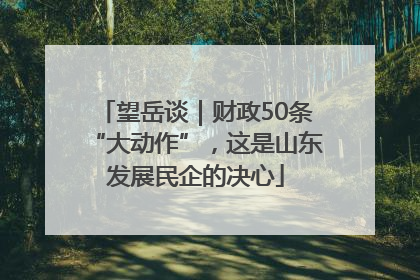 望岳谈｜财政50条“大动作”，这是山东发展民企的决心