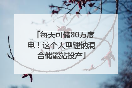 每天可储80万度电！这个大型锂钠混合储能站投产