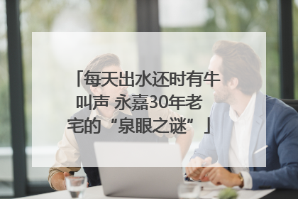 每天出水还时有牛叫声 永嘉30年老宅的“泉眼之谜”