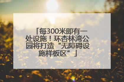 每300米即有一处设施！环杏林湾公园将打造“无障碍设施样板区”