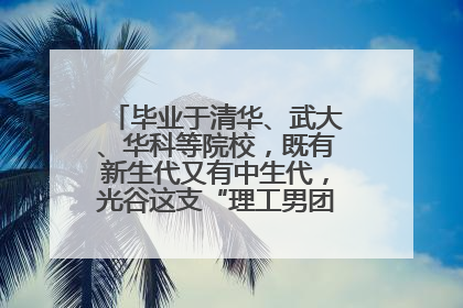 毕业于清华、武大、华科等院校，既有新生代又有中生代，光谷这支“理工男团”为何“出道”？