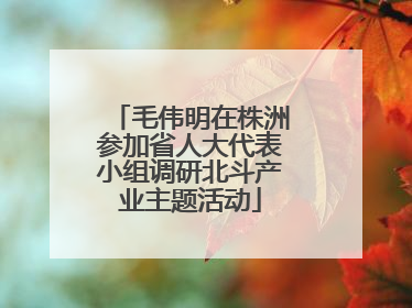 毛伟明在株洲参加省人大代表小组调研北斗产业主题活动
