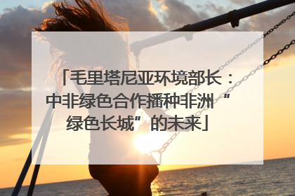 毛里塔尼亚环境部长：中非绿色合作播种非洲“绿色长城”的未来