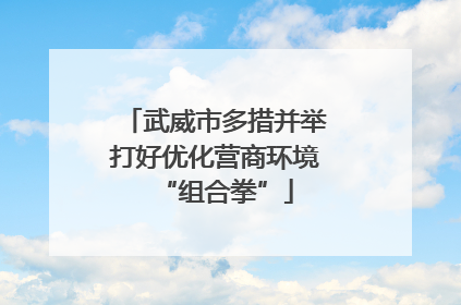 武威市多措并举打好优化营商环境“组合拳”