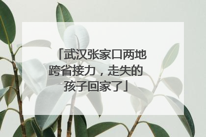武汉张家口两地跨省接力，走失的孩子回家了
