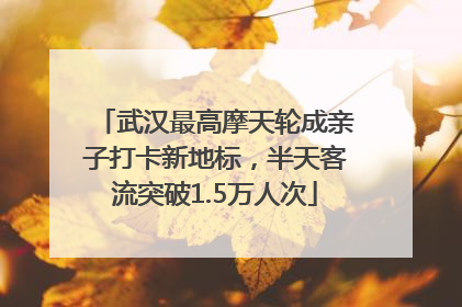 武汉最高摩天轮成亲子打卡新地标，半天客流突破1.5万人次