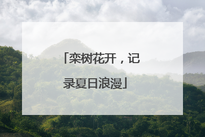 栾树花开，记录夏日浪漫