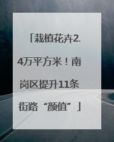 栽植花卉2.4万平方米！南岗区提升11条街路“颜值”