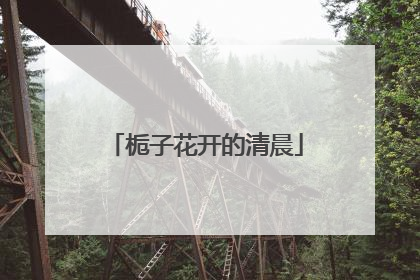 栀子花开的清晨